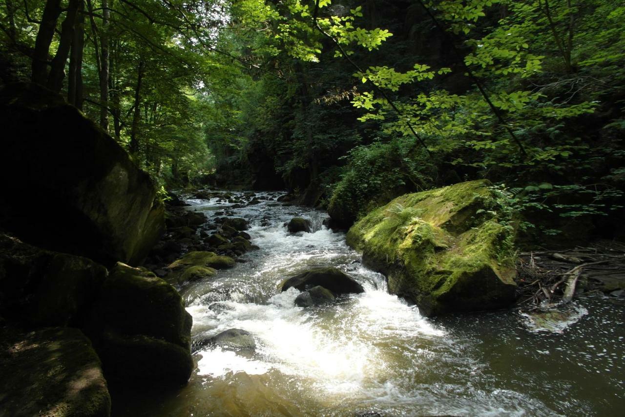 Kwatera prywatna Xxl Pirna